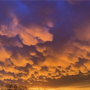 Meet your Posher, Brooklyn